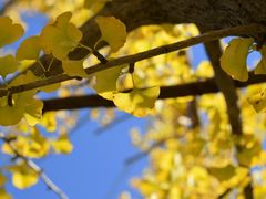 -长春公园(普阳街道)