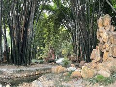 -望江楼公园
