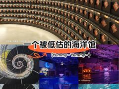 -大连圣亚海洋世界