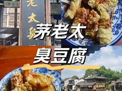 -茅老太臭豆腐