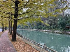 -成都市活水公园