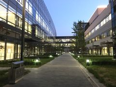 -首都医科大学附属北京天坛医院
