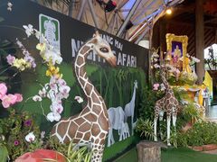 -清迈夜间动物园