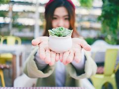-小时光咖啡馆(北锣鼓巷店)