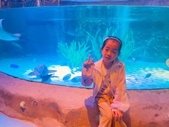 -沈阳海洋探索中心