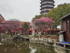 -皇罗禅寺