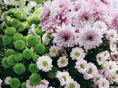 -花心思鲜花店(武昌徐东店)