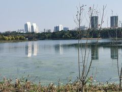 -南宁南湖公园