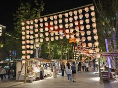 -铁像寺水街