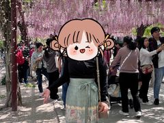 -嘉定紫藤园