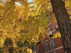 -四川大学(望江校区)