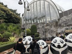 -石排湾郊野公园