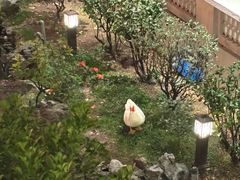 -北园酒家(小北路店)