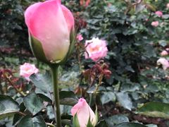 -人民公园(罗湖区)