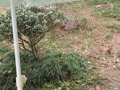 -紫金山索道-售票处