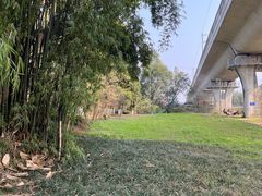 -桤木河湿地公园