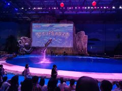 -华夏文旅海洋公园