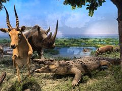 -国家自然博物馆