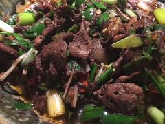 -滇铺子·云南特色菜·第九届野生菌美食节(东风东路c86店)