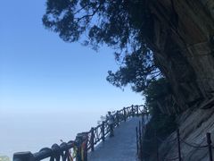-少华山国家森林公园
