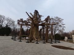 -石家庄市植物园