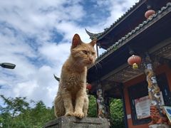 景点-成都老君山