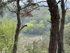 -灵岩山风景区