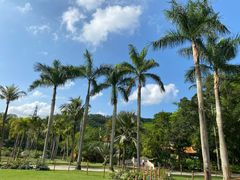 -深圳仙湖植物园