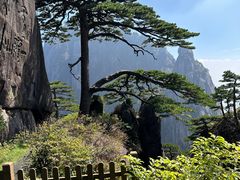 -黄山风景区