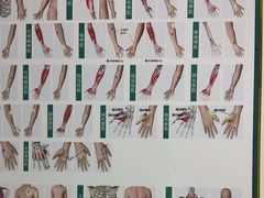 -通透堂中医·精准推拿(旗舰店)