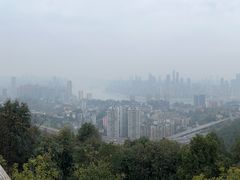 -南山植物园