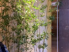 -高玛纳驴肉火烧(一世界店)