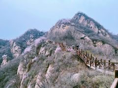 -大岭沟猕猴桃谷风景区