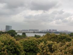 -立新湖公园