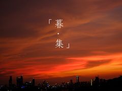 -福田红树林生态公园