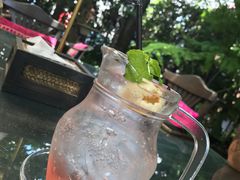 -Fern Forest Cafe