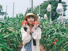 -硇洲岛旅游区