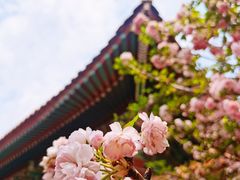 -珠海圆明新园