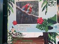 -九龙公园