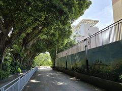 -人民公园(罗湖区)