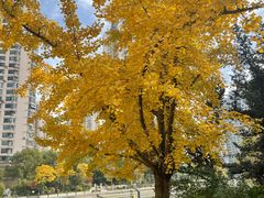 -苏州河梦清园环保主题公园