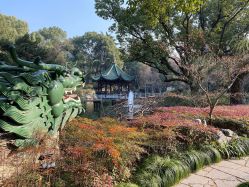 -丁香花园申粤轩·宴会厅