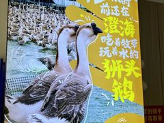 -陆记鹅庄·潮汕菜·狮头鹅(大仟里店)