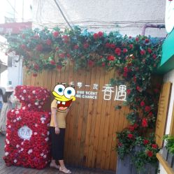 -香遇沙龙香水·调香·团建