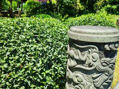 -十八棵（老龙井）御茶园(老龙井店)