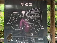 -杨家堂村