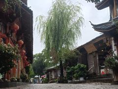 -木王宴语·野生鲜菌火锅(玉河店)