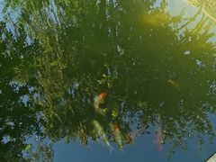 -春风习习