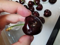 -麦德龙(嘉定店)