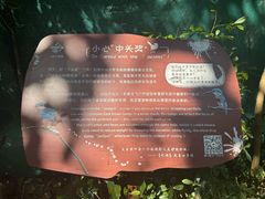 -华侨城湿地公园